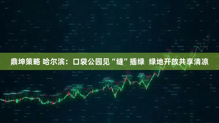 鼎坤策略 哈尔滨：口袋公园见“缝”插绿  绿地开放共享清凉