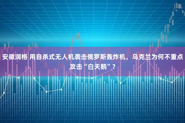 安徽润格 用自杀式无人机袭击俄罗斯轰炸机，乌克兰为何不重点攻击“白天鹅”？